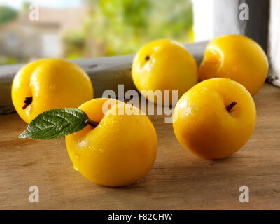 Nahaufnahme von frischen ganz roh gelb Golden Pflaumen (Prunus Domestica) Stockfoto