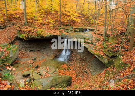 Blaue Henne fällt im Cuyahoga Valley National Park. Stockfoto