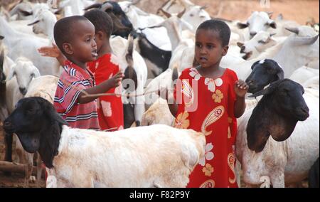 Kinder spielen mit einer Ziegenherde auf einem Viehmarkt 9. Februar 2012 in Kotile, Kenia. Stockfoto