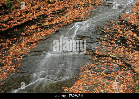 Braut Schleier fällt im Herbst, Bedford Reservierung, Cleveland, Ohio, in der Nähe von Cuyahoga Valley National PArk Stockfoto