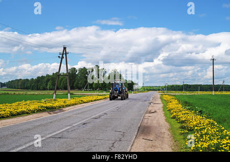 Asphaltstraße durch Frühling Feld mit Löwenzahn. Unterwegs geht Traktor. Stockfoto