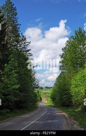 Asphaltstraße durch Frühlingswald. Stockfoto