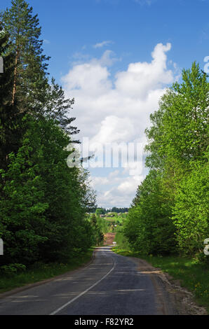 Asphaltstraße durch Frühlingswald. Stockfoto