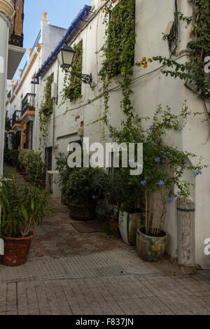 Typische spanische Straße mit weißen Wänden und Blumen in Töpfen und an den Wänden. Stockfoto