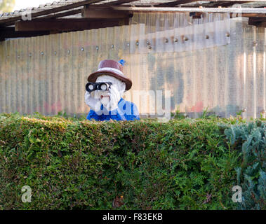 Geformt aus Kunststoff Figur eines alten Mannes mit dem Fernglas über eine Hecke bei seinem Nachbarn suchen. Neugierige Busybody. Stockfoto