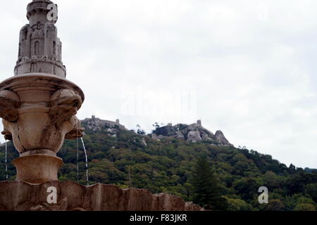 Brunnen vor einem Wald Stockfoto