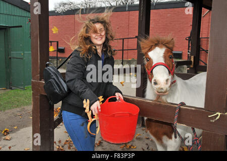 London, UK, 5. Dezember 2015, freiwillige Alexa Hamilton 24 feeds Pony Tim bei Charlton Park Riding Centre für Menschen mit Behinderungen. Bildnachweis: JOHNNY ARMSTEAD/Alamy Live-Nachrichten Stockfoto