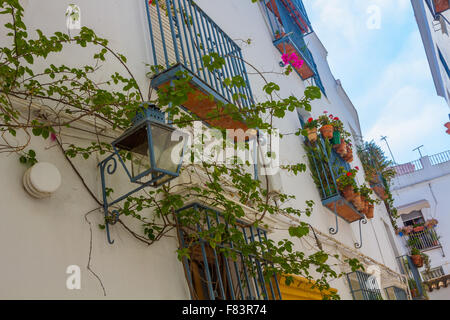 Typische Fenster mit Gitter und dekorative Blumen in der Stadt Córdoba, Spanien Stockfoto