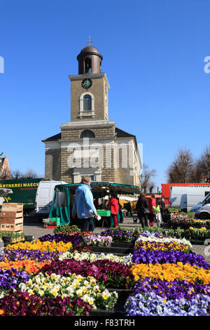 Wöchentliche Markt, Husum, Nordfriesland, Schleswig-Holstein, Deutschland, Europa Stockfoto