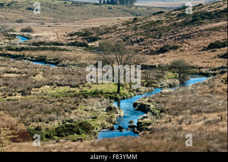 West Dart River im Herbst fallen Ernte in der Nähe von zwei Brücken in Dartmoor Devon England UK Europa Stockfoto