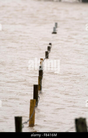 Wensleydale, North Yorkshire, UK. 5. Dezember 2015. Überfluteten Land und Straßen in Wensleydale, North Yorkshire, UK. Bildnachweis: Wayne HUTCHINSON/Alamy Live-Nachrichten Stockfoto