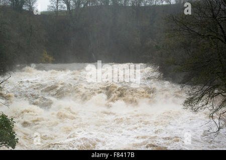 Wensleydale, North Yorkshire, UK. 5. Dezember 2015. Aysgarth Herbst, North Yorkshire. Bildnachweis: Wayne HUTCHINSON/Alamy Live-Nachrichten Stockfoto