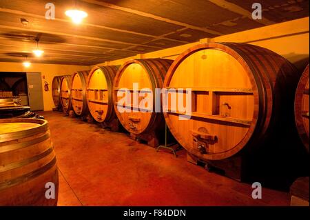 Sediment-Behälter für Wein Stockfoto