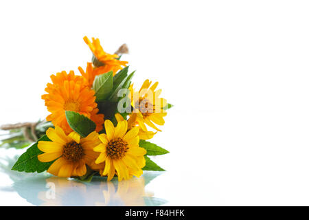 Blumenstrauß mit Sommer Gänseblümchen Stockfoto