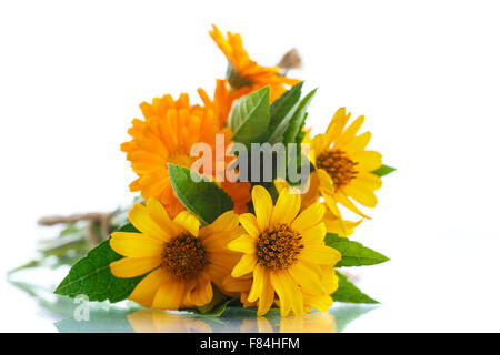 Blumenstrauß mit Sommer Gänseblümchen Stockfoto