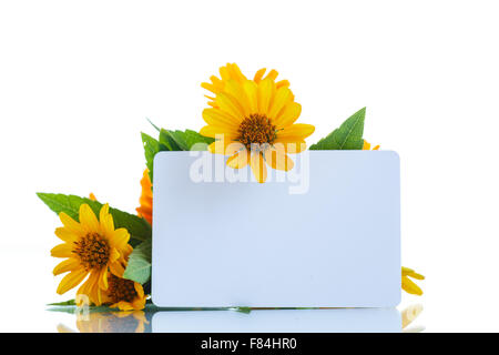 Blumenstrauß mit Sommer Gänseblümchen Stockfoto