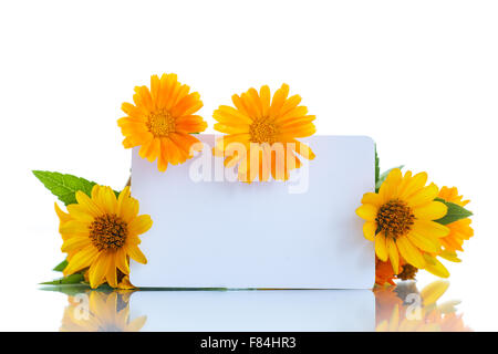 Blumenstrauß mit Sommer Gänseblümchen Stockfoto