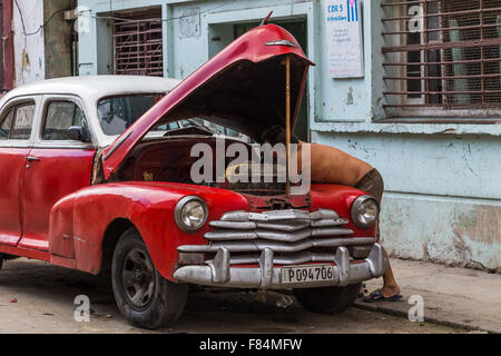 Ein Mann, immer unter der Motorhaube des seine Oldtimer in Havanna Centro. Stockfoto