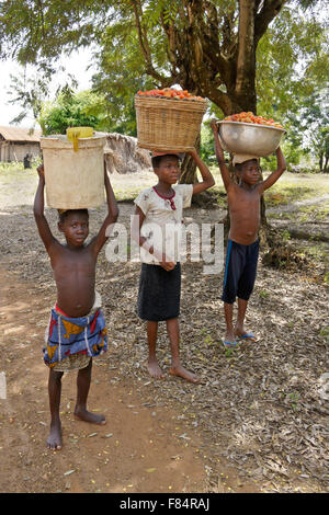 Kinder tragen von Wasser und bringt Tomaten aus Feld, Togo Stockfoto