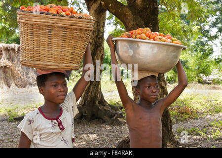 Kinder bringen Tomaten vom Feld, Togo Stockfoto