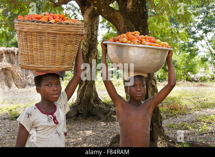 Kinder bringen Tomaten vom Feld, Togo Stockfoto