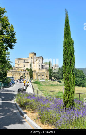 Lourmarin Lavendel Blume mit Château de Lourmarin hinter Dorf im Bereich Luberon Provence Vaucluse, Provence-Alpes-Côte d ' Azur, Frankreich Stockfoto