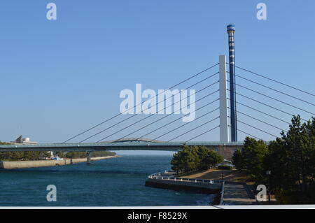 eine Überführung Brücke zwischen grün und Menschen sind Fuß über es in Singapur und japan Stockfoto