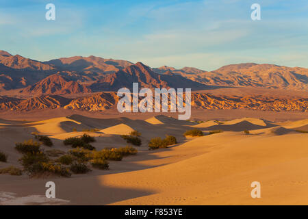 Landschaft aus Sanddünen im Death Valley in Kalifornien Stockfoto