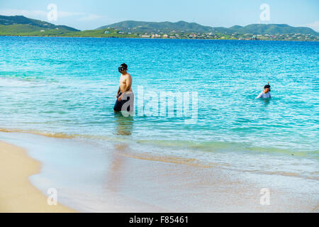 Menschen lernen, Turtle Beach auf Buck Island National Park mit St. Croix, Amerikanische Jungferninseln im Hintergrund zu Schnorcheln. USVI, U.S.V.I. Stockfoto