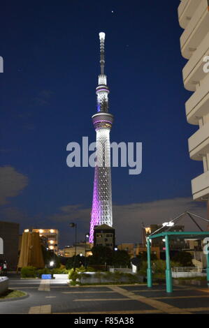 Indische paar posiert in der Nähe von Sumida Fluss Tokyo mit leuchtenden Tokyo Sky Tree im Hintergrund Stockfoto