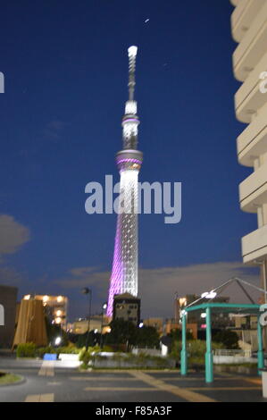 Indische paar posiert in der Nähe von Sumida Fluss Tokyo mit leuchtenden Tokyo Sky Tree im Hintergrund Stockfoto