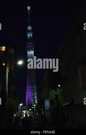 Indische paar posiert in der Nähe von Sumida Fluss Tokyo mit leuchtenden Tokyo Sky Tree im Hintergrund Stockfoto