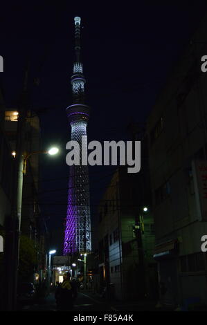 Indische paar posiert in der Nähe von Sumida Fluss Tokyo mit leuchtenden Tokyo Sky Tree im Hintergrund Stockfoto