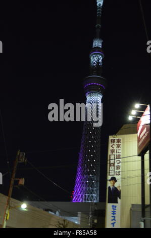 Indische paar posiert in der Nähe von Sumida Fluss Tokyo mit leuchtenden Tokyo Sky Tree im Hintergrund Stockfoto