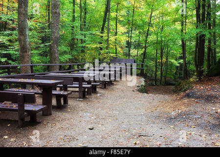 Tische mit Bänken im Wald, Picknick und Erholung in gesunder Natur platzieren Stockfoto