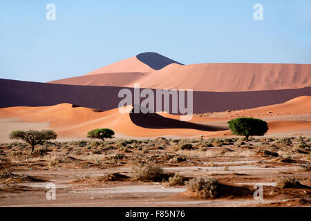 Dünenlandschaft in Sossusvlei Nationalpark - Namib-Naukluft-Nationalpark, Namibia, Afrika Stockfoto