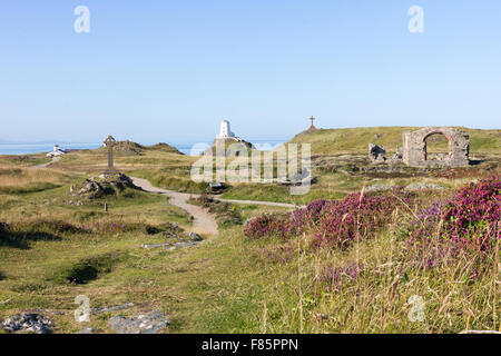 Kreuze, Ruinen und Leuchtturm auf Llanddwyn Island, Anglesey, Wales Stockfoto