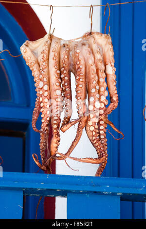 Santorini. Tote frisch gefangenen Oktopus orange hängen auf der Linie auf dem Balkon trocknen zu lassen. Weiße Wand und blaue Holzarbeiten. Stockfoto