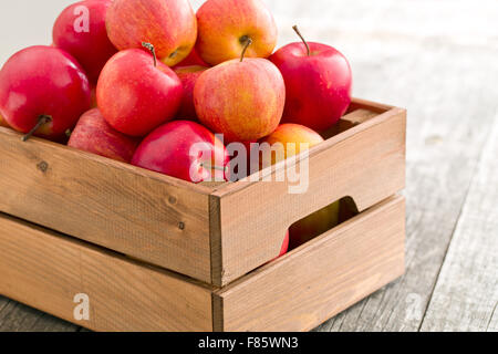 roter Herbst Äpfel in Holzkiste Stockfoto
