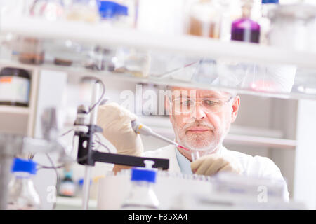 Lebens-Wissenschaftler forschen im Labor. Stockfoto