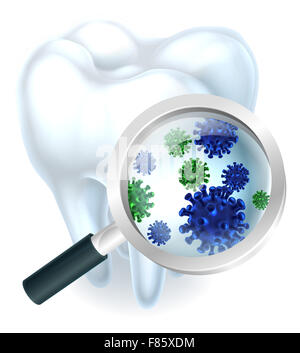 Mikroskopisch kleine Bakterien Zahn Konzept eines Zahnes mit einer Lupe mit mikroskopisch kleinen Bakterien oder Viren Stockfoto