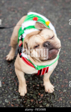 Liverpool, Merseyside, England 6. Dezember 2015. Der Medicash Santa Dash-Kurs beginnt und endet im Stadtzentrum von Liverpool mit einer 5K-Route beginnt an der Pier Head auf Kanada Boulevard vor den Gebäuden der Leber. Es endet vor dem Rathaus im Castle Street. Organisatoren von Liverpool Santa Dash hatte gesagt, dass sie die Charity sinken-Lauf durch steigende Gebühren des Rates, mit der Event-Koordinatoren BTR Liverpool Zahlen Liverpool City Council mehr als 17.000 £, das diesjährige Rennen zu inszenieren. Bildnachweis: Cernan Elias/Alamy Live-Nachrichten Stockfoto