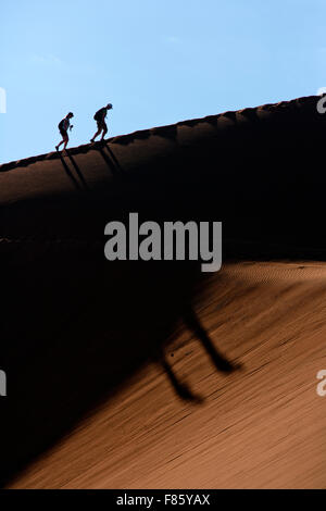 Wanderer auf Big Daddy Düne am Sossusvlei Nationalpark - Namib-Naukluft-Nationalpark, Namibia, Afrika Stockfoto