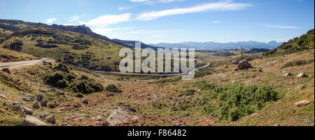 Malerische Landschaft und Straße nach Ronda. Serranía de Ronda. Andalusien, Spanien. Stockfoto