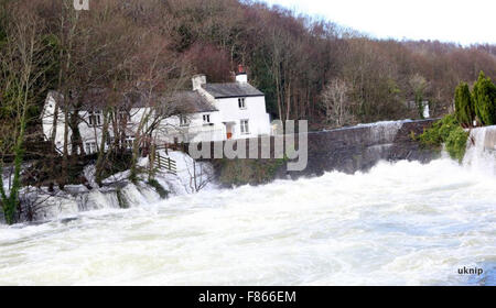 Backborrow, Cumbria, UK. 6. Dezember 2015.  500 hundert Menschen, darunter 48 Kinder mussten von der Polizei und der Feuerwehr evakuiert werden, wenn River Leven brach die Ufer und die vier-Sterne-Hotel und Timeshare Apartments in Backbarrow heute Morgen überschwemmte. Gäste mussten gerettet werden, von der Polizei und der Feuerwehr und Rettungsdienst mit Hilfe einer Leiter einige tragen nur Unterwäsche.  Sie haben nach bused, um Notfallrettung Erholungszentrum können. Mitarbeiter des Hotels sagen, dass sie ausgebrannt sind. Wir hatten ein volles Haus und dem timeshares waren alle voll. Bildnachweis: Uknip/Alamy Live-Nachrichten Stockfoto