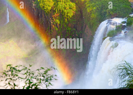 Berühmten Iguazu-Wasserfälle an der Grenze zwischen Argentinien und Brasilien Stockfoto