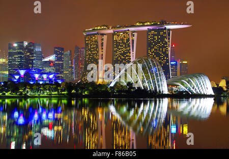 Nacht-Szene auf die Skyline von Singapur zeigen die Blume Kuppel und Nebelwald Kuppeln und Supertrees Grove in den Gärten Stockfoto