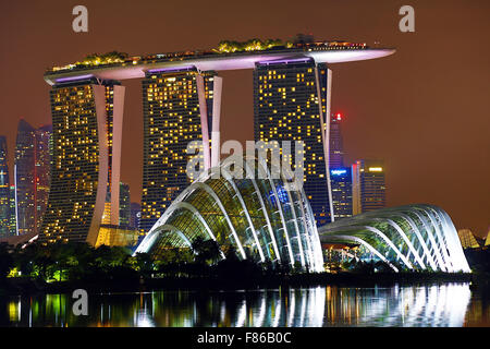 Nacht-Szene auf die Skyline von Singapur zeigen die Blume Kuppel und Nebelwald Kuppeln und Supertrees Grove in den Gärten Stockfoto