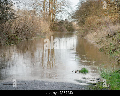 Glasgow, Vereinigtes Königreich. 5. Dezember 2015.  Fluss Clyde erreicht hohe nach Sturm Desmond, seine Ufer überfüllt und Überschwemmungen Spaziergang Möglichkeiten und Radwege. © Alan Robertson/Alamy Live News, UK. Bildnachweis: Alan Robertson/Alamy Live-Nachrichten Stockfoto