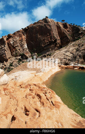 Insel Sokotra, Jemen, Übersicht von Homhil Plateau: das Wadi und die Drachenblut-Bäume-Wald Stockfoto